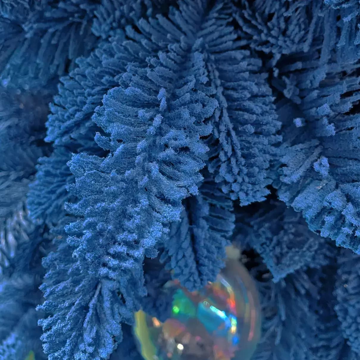 Albi di Natale Flora